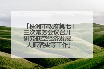 株洲市政府第七十三次常务会议召开 研究低空经济发展、大抓落实等工作